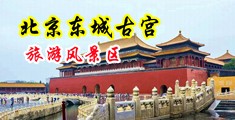 美女下面被操流水视频中国北京-东城古宫旅游风景区